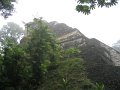 55 tempel
